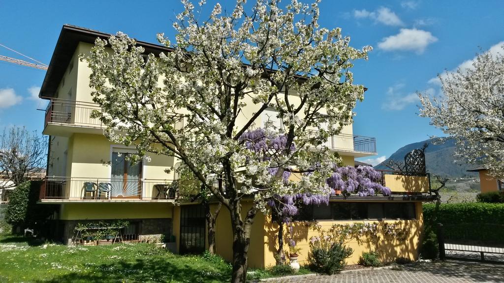 칼세라니카알라고 Casa Ferrari Monica 아파트 외부 사진